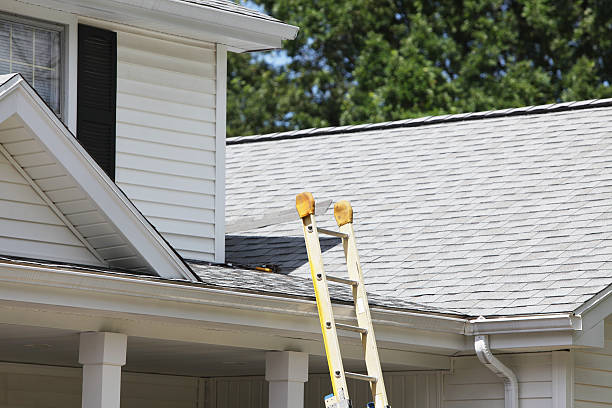 Affordable siding repair and maintenance services in Stevensville, MD